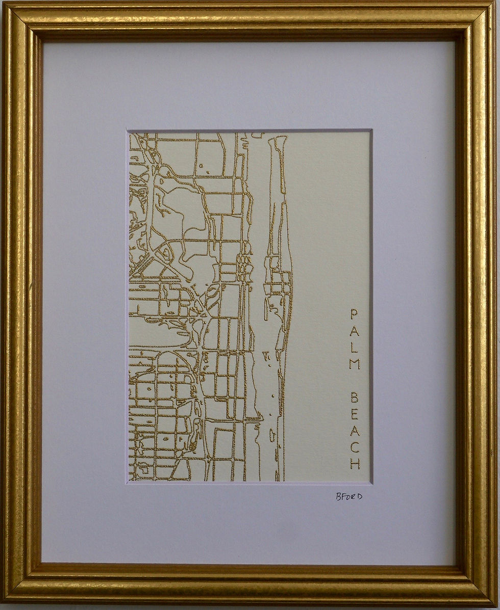 Thumbnail: Palm Beach Street Map - Navy