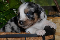 Gemma 06272026 4-2.jpg