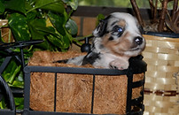 Sissy 06272026-2.jpg