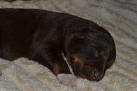 Hank 06152026 2-2.jpg