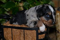 Tess 06272026 3-2.jpg