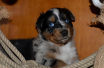 Tess 07052026 4-2.jpg