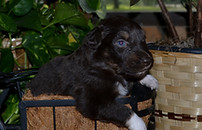 Tucker 06272026 3-2.jpg