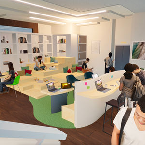 Kirkwood Wild Circulation