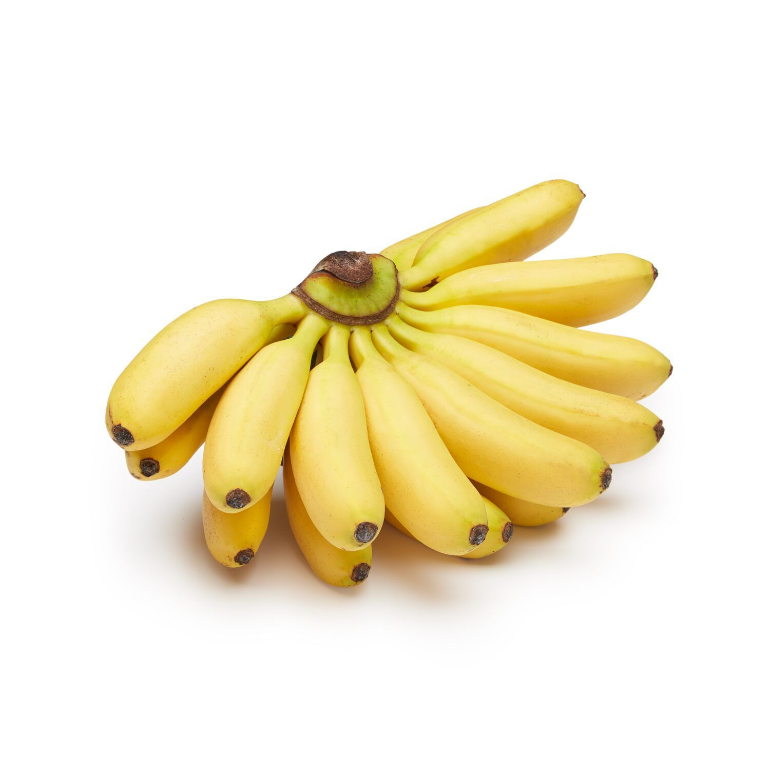 Baby Banana - 1LB