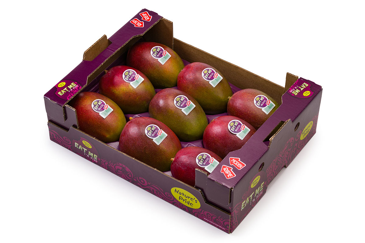 Kent Mango - Box