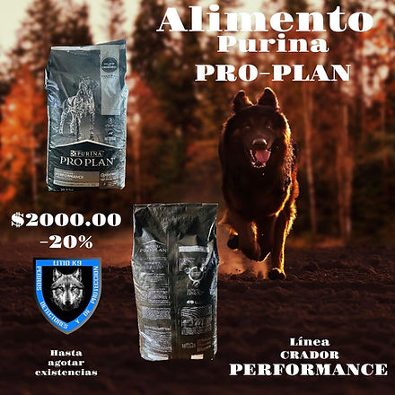 WhatsApp Image 2022-12-01 at 11.14.58.jpeg