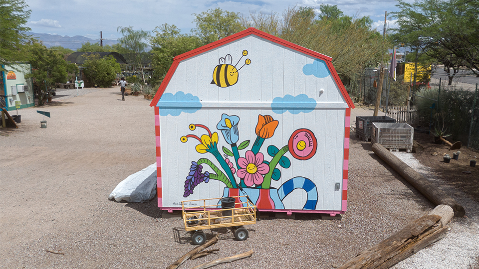 This Tucson, Arizona mural was created at Desert Survivors, a nonprofit that offers employment to adults with intellectual and developmental disabilities. I led a collaborative paint‑by‑numbers project with their teams, resulting in a plant‑nursery‑themed mural that promotes inclusion, community connection, and the therapeutic value of art.