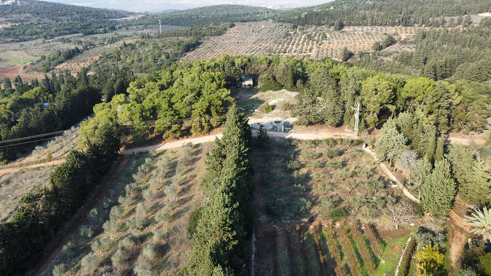 dji_fly_20241121_142656_150_1736774836392_photo_optimized