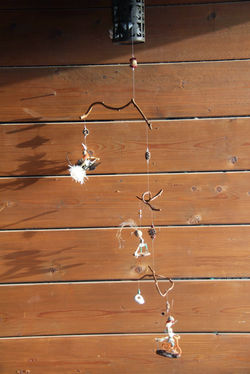 ספלול מוביילים מהטבע רבקה פרץ יודפת