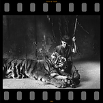 Graham McGrath and tiger in Krull
