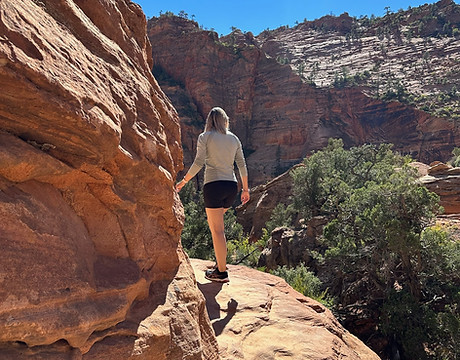 Herausforderungen in der Dissertation meistern