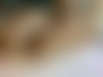 明日1/12、12時カートオープン。1/19発送。