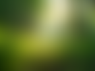 The Importance of Sustainable Living in Today's World