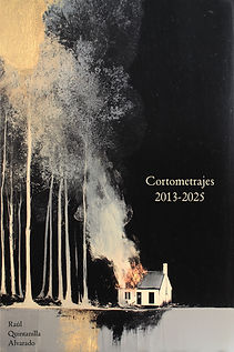 2013-2025 - Cortometrajes.jpg