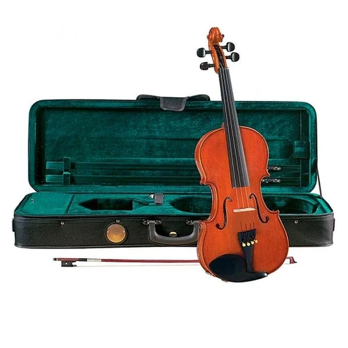 Viola 16