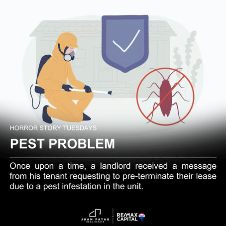 Pest Problem