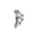 Bonez .png