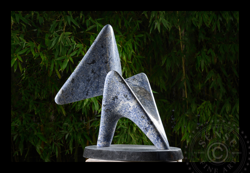 SENSE_fine_art_Erdman_SatoriBlu_