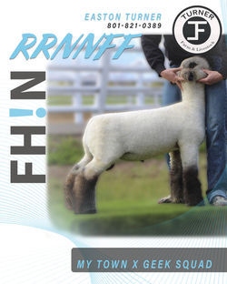 fhin blend