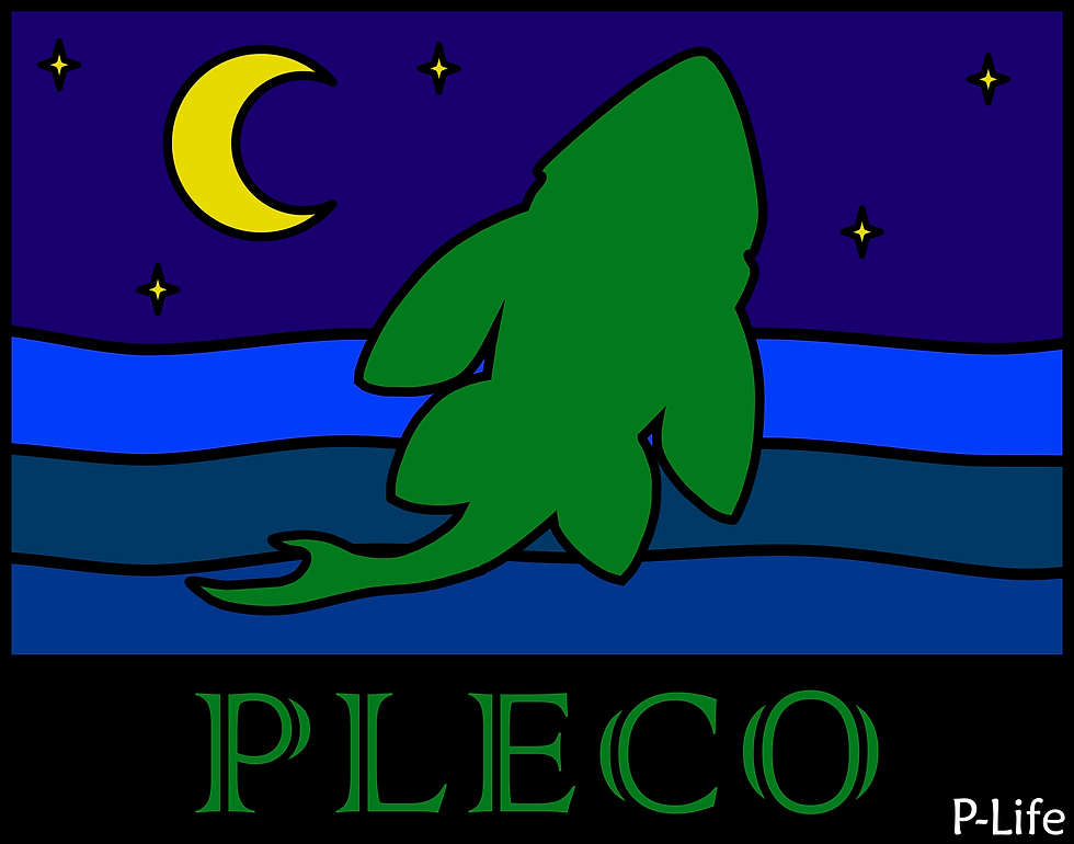 moonlit Pleco