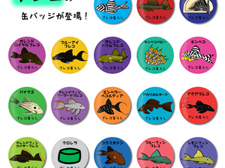 缶バッジ販売開始❕