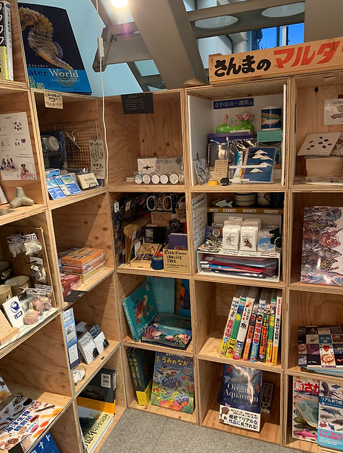 P_Lifeさま_SAKANA APARTMENT (1).jpeg