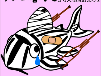「プレコ暮らし」から大切なお知らせ📢