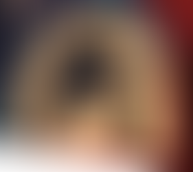 Who Pays for Tariffs???