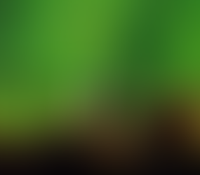 Will Paris Climate Change Agreement be a Game-changer?