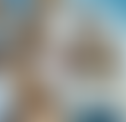 Why we should care about individual Justice, NOT social justice.