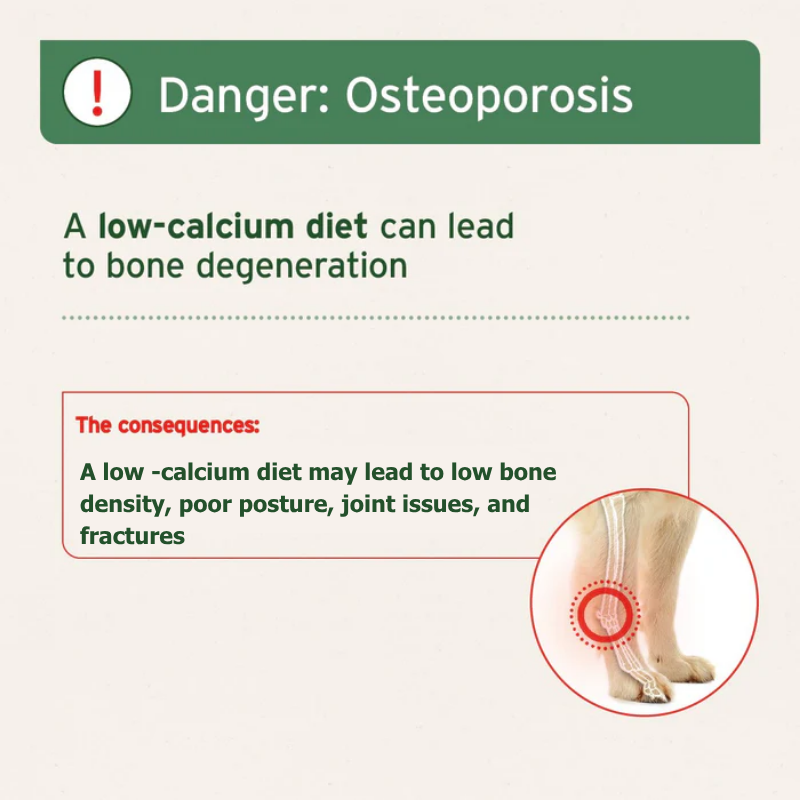 Thumbnail: aniforte-ground-beef-bones-risk