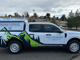 The Ultimate Guide to Year-Long Pest Control Management: Insights from a Family-Owned Business in the Colorado Mountains