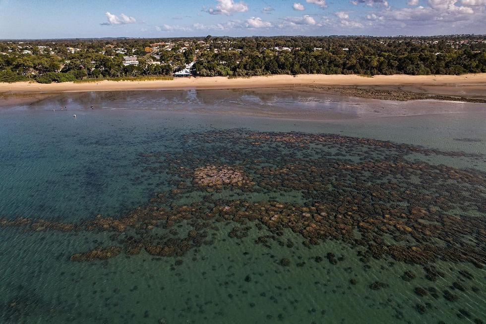 Torquay Coral Reef - taken by Breannah Mitchell