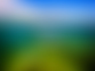 The Gables Coral Reef