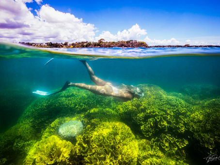 The Gables Coral Reef