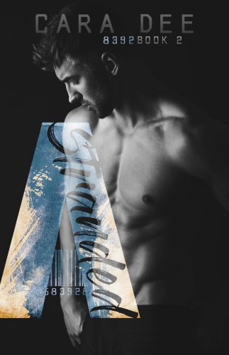 batch_6eStranded cover.png