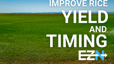 EZ-N AND NUTRICHARGE RICE STUDY