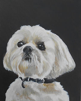 Acrylic portrait of dog