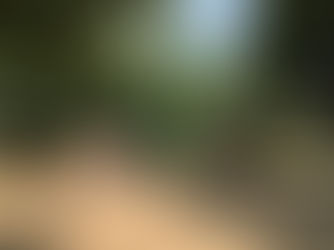 【鳩ケ谷】川口前川第6公園