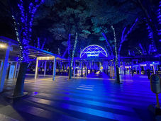 埼玉エイブル新都心スーパーアリーナ店【けやきひろばイルミネーション】㏌さいたまスーパーアリーナ