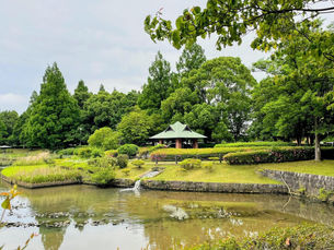 【越谷】越谷総合公園