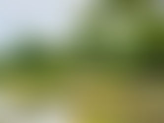 【越谷】越谷総合公園