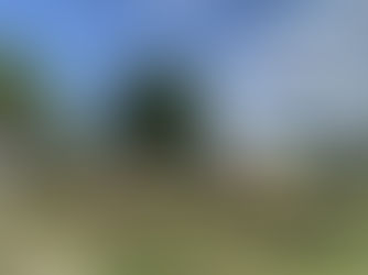 【戸田】彩湖・道満グリーン・パーク】