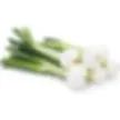 Fresh Spring Onions