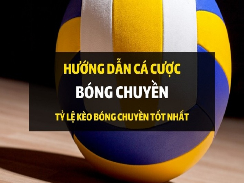 Hướng dẫn chơi cá cược bóng chuyền tại w88
content media