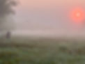 IMG_2911.jpeg