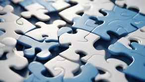 Building Connections: The Impact of MS Ability Alliance Services