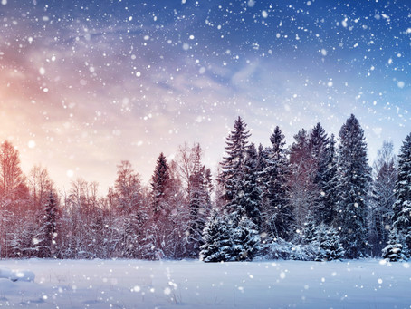 Weathering the Winter With Chinese Medicine