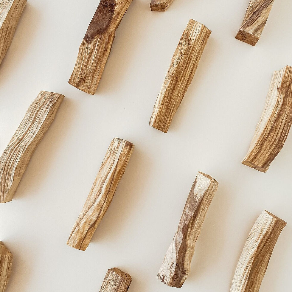 Miniatura: Palo Santo Sticks | Holy Wood from Peru